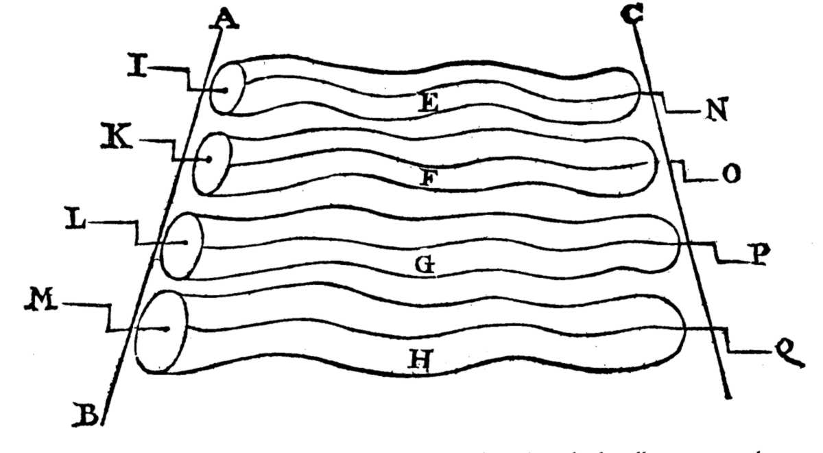 Sabbattini wave machine